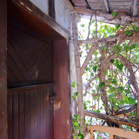 In Hessen Mit Garten